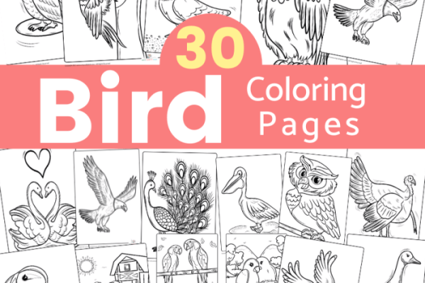 Animated birds in backyard coloring page