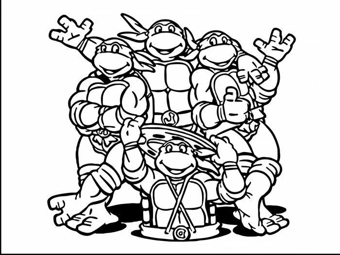 Ninja turtle coloring book