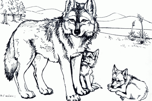 Animal coloring pages wolf face