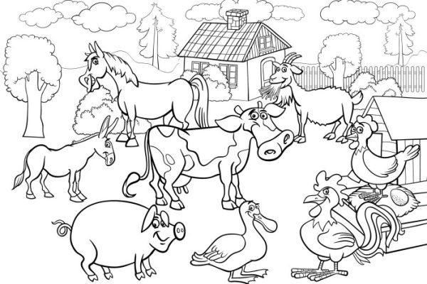 Children barn animal coloring cards