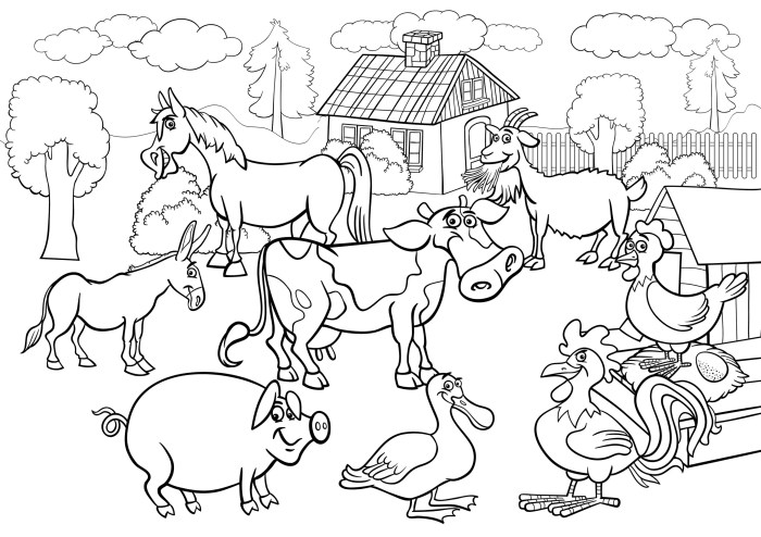 Children barn animal coloring cards