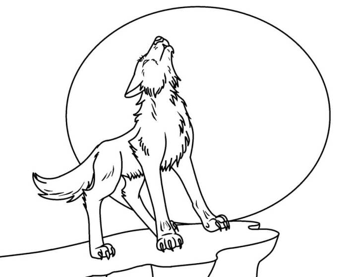 Animal coloring pages wolf face