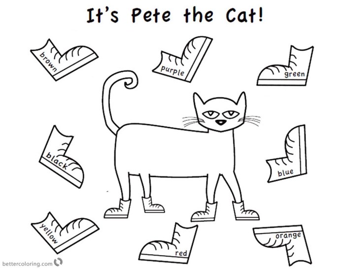 Pete the cat coloring book