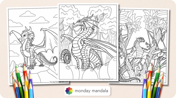 Wings of fire coloring book