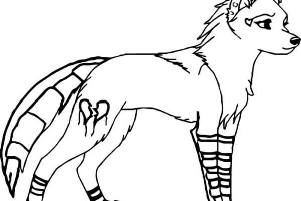 Anime fox coloring pages sonic fox