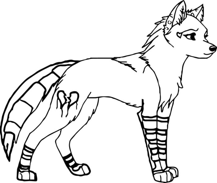 Anime fox coloring pages sonic fox