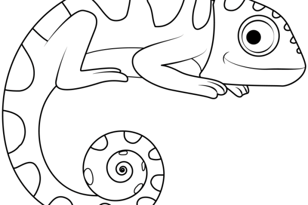 Animal coloring pages cameleon