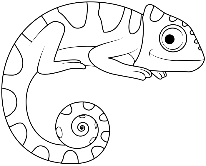 Animal coloring pages cameleon