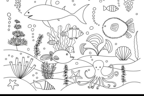 Sea animal coloring page