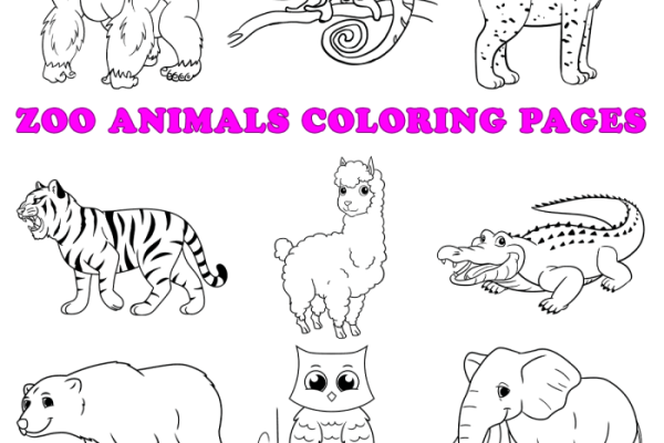 Coloring animal for kids