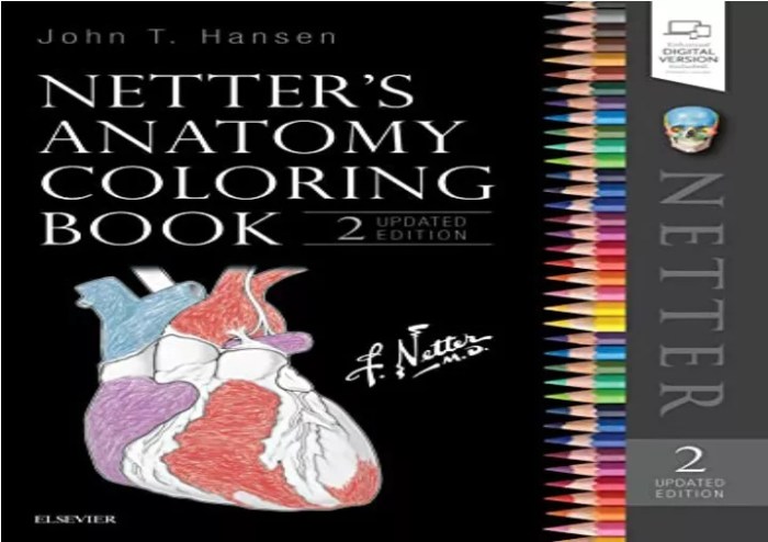 Netters anatomy coloring book